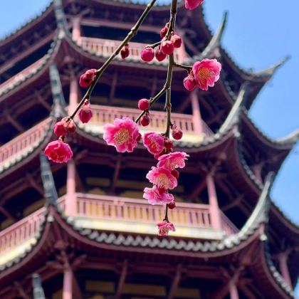 江苏常州+东坡园+常州博物馆3日2晚自由行