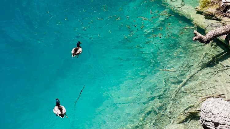 9-Day Sichuan-Chongqing Dual-City Tour: Jiuzhaigou & Hongyadong. Contact customer service for complimentary family room upgrade in downtown Chengdu, free customized private itinerary