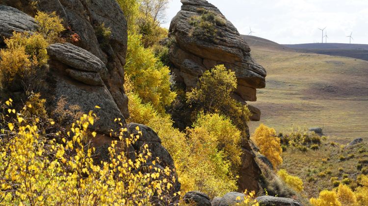 6-Day Hohhot + Ordos Prairie + Whistling Dune Bay + Kubuqi Desert