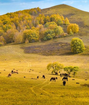 5D4N • Chengde + Wulan Butong Grassland Scenic Area + Mulan Shooting Ground