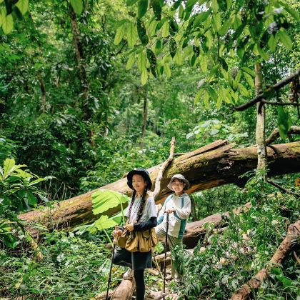 云南西双版纳5日4晚拼小团