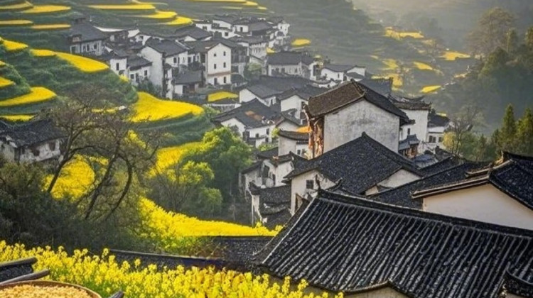 江西婺源+三清山风景区4日3晚私家团