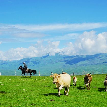 新疆北疆+伊犁+那拉提旅游风景区+赛里木湖5日4晚拼小团