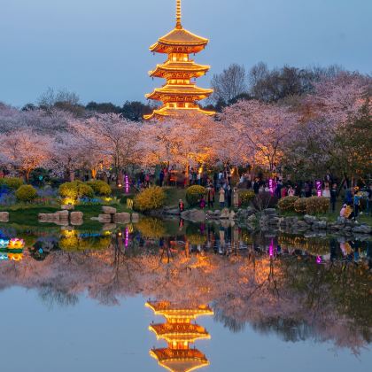 武汉+黄鹤楼+东湖生态旅游风景区3日2晚跟团游