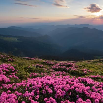 贵州黄果树景区+兴义+荔波+西江千户苗寨+梵净山8日7晚私家团