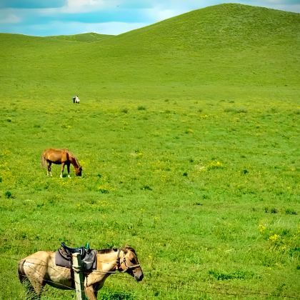 赤峰玉龙沙湖+乌兰布统草原+贡格尔草原5日4晚拼小团