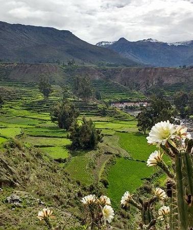 2D1N • Overnight Tour: Colca Canyon Including Horse Riding from Arequipa