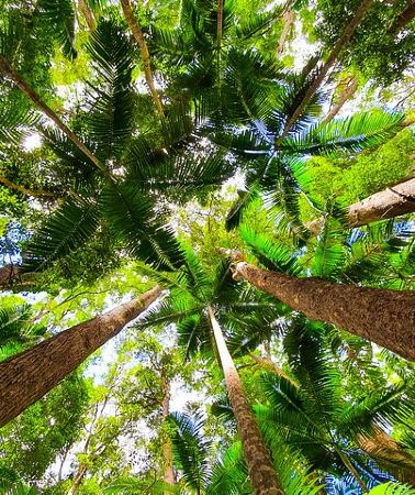 2D1N • 2 Day K'gari (Fraser Island) Small Group Camping Tour