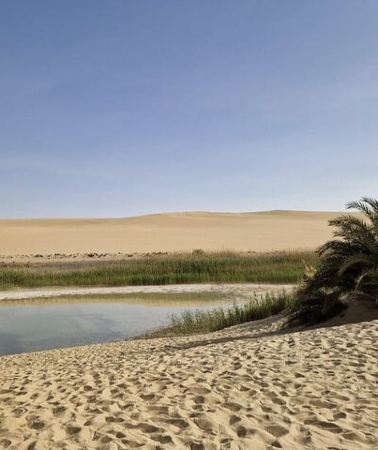 2D1N • Siwa Oasis All Inclusive Tour From Cairo