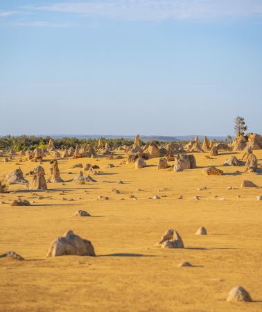6D5N • Australia Perth + Hutt Lagoon + Margaret River + Wave Rock | Early Bird Summer Booking Discount - Includes Drone Photography