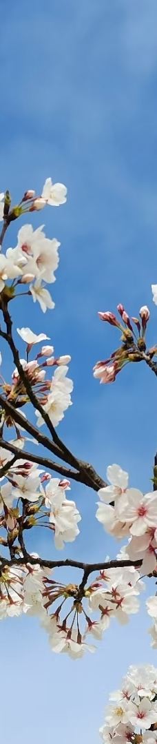 宁波植物园-宁波