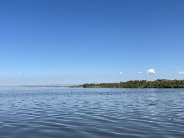 乌梁素海生态旅游景区(暂停开放)旅行图片 2