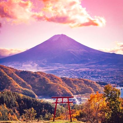 日本大阪+东京7日6晚私家团