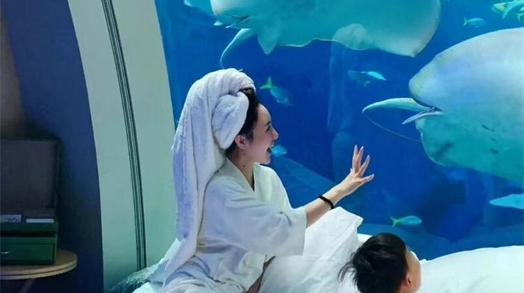 韦依美途