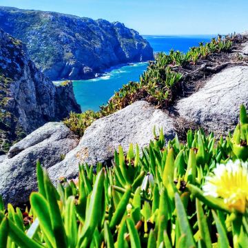 葡萄牙里斯本+马德里+萨拉戈萨+巴塞罗那5日4晚跟团游