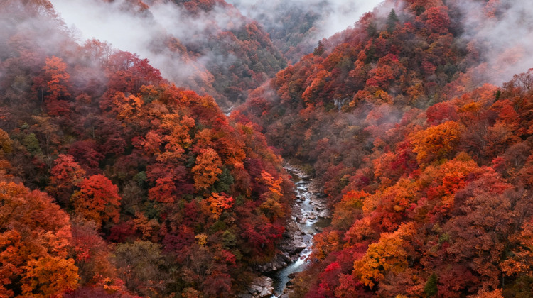 川西秘境之旅：稻城亚丁七日游全攻略
