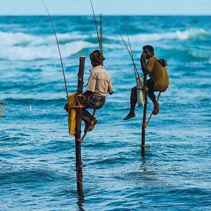 斯里兰卡11日10晚私家团