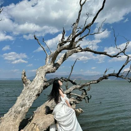 云南丽江+大理市+香格里拉6日5晚自由行