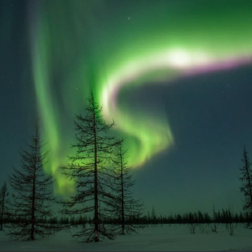 芬兰罗瓦涅米圣诞老人村+北极圈标线+拉努阿野生动物园+瑞典基律纳+阿比斯库极光天空站7日6晚私家团
