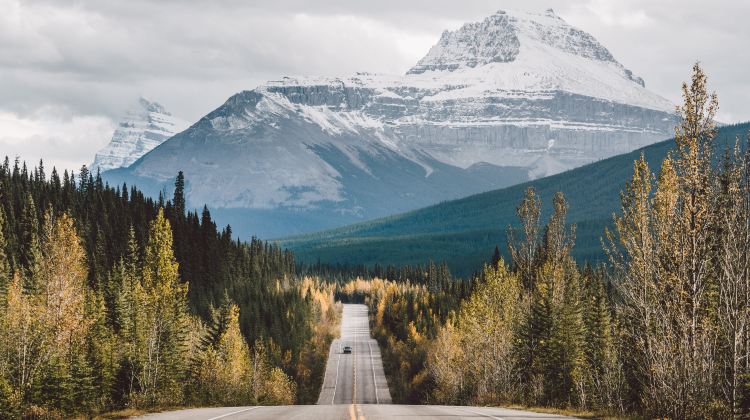 卡尔加里、班夫+8