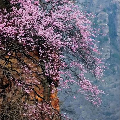 郑州+林州+太行大峡谷+挂壁栈道+中华影视村-郭亮村5日4晚私家团