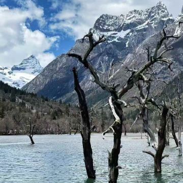 成都+稻城亚丁+新都桥+四姑娘山景区8日7晚私家团