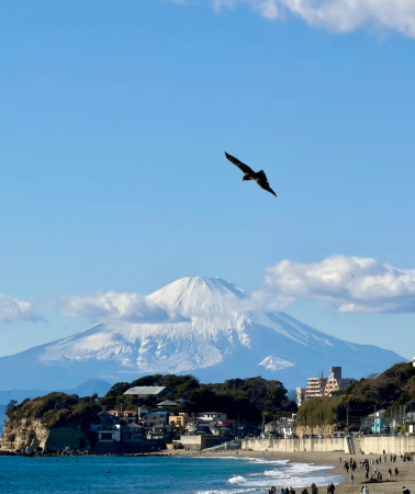 8D7N • Japan Tokyo + Mt. Fuji + Osaka + Kyoto. A pure travel group heads east to Osaka - receives JR Shinkansen - Kiyomizu-dera Temple & Nara - Oshino & Kawaguchiko & Kamakura - 2 days in Tokyo & 1 day in Osaka free travel