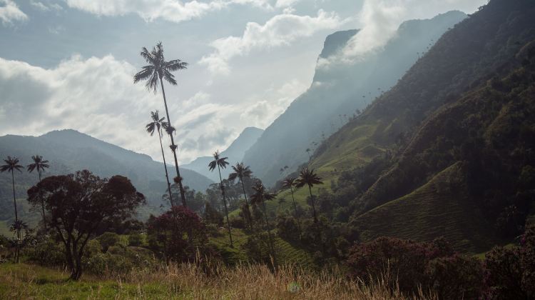 9-Day Explore Colombia Tour from Bogotá · Armenia, Medellín and Cartagena