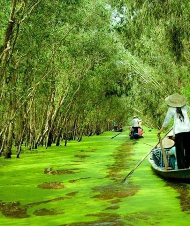 3D2N • Incredible Mekong Delta Tour 3-day from Ho Chi Minh City