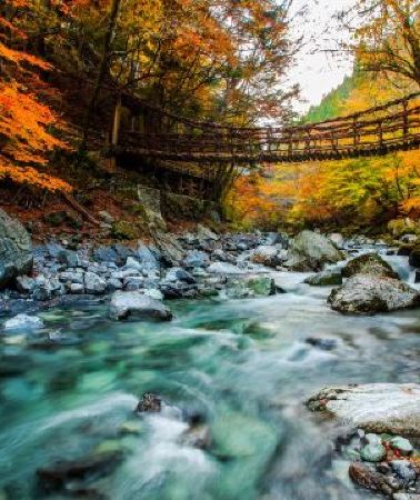 6日5晚 • 大阪、四國、岡山 6天秋色溫泉之旅 「天空の鏡」父母濱、賞紅葉名所(日本三大秘景~祖谷溪谷、蔓藤橋(包登橋)、大步危(乘觀光遊覽船)、金刀比羅宮、「日本三大庭園」岡山後樂園、花博紀念公園鶴見綠地)