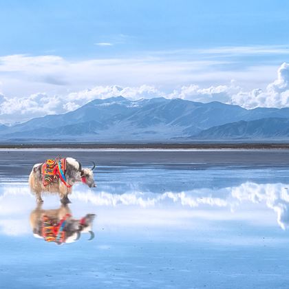 西安+兵马俑+西宁+青海湖景区+茶卡盐湖+敦煌+嘉峪关+张掖+兰州10日9晚拼小团