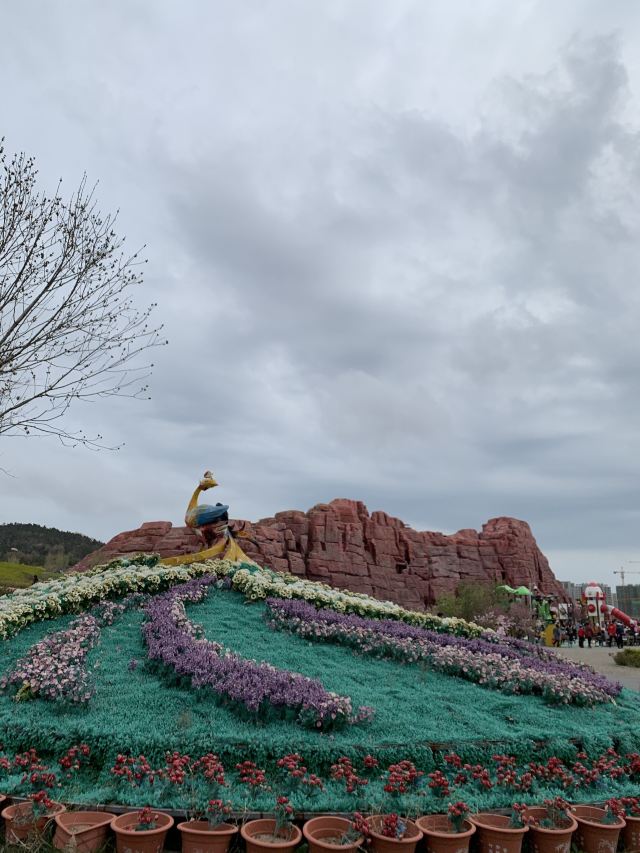 青岛西海岸生态观光园旅行图片 2