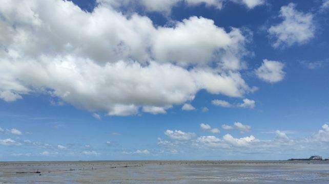 红树林赶海服务中心