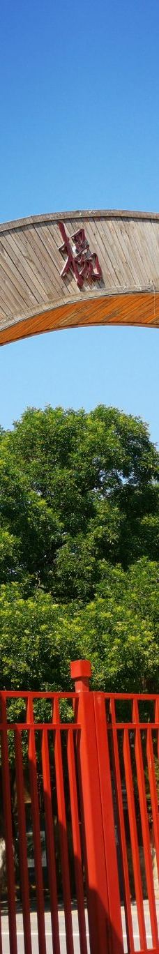 杨家岭革命旧址-延安