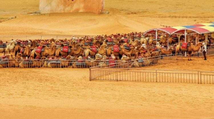 5-Day Group Tours: Ningxia Yinchuan, Shapotou, Zhongwei and Five Lakes Crossing in Tengger Desert·  