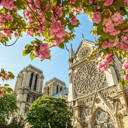 法国巴黎+兰斯+亚眠7日4晚私家团