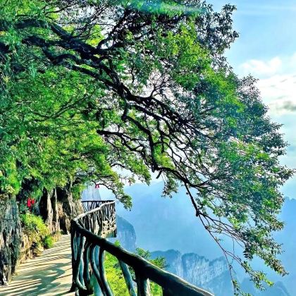 张家界国家森林公园+天门山+芙蓉镇+凤凰古城5日4晚私家团