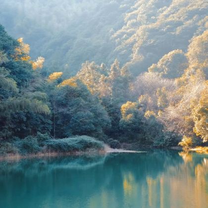 绍兴+嵊州+新昌+鲁迅故里+安昌古镇+绍兴柯岩风景区+张村樱花谷+十九峰4日3晚私家团