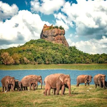 斯里兰卡+科伦坡6日5晚私家团