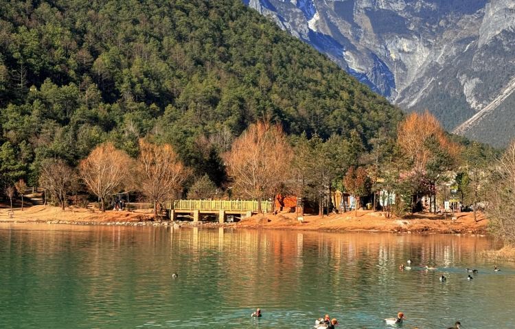 4-day 3-night · Private tours · Lijiang + Old Town of Lijiang + Yulong Snow Mountain + Heilongtan Park + Lashihai Wetland Park · Discover Lijiang in depth in 4 days: visit Lijiang Ancient Town, climb up Yulong Snow Mountain, and step into Lashihai Wetland Park. Fully explore both the natural beauty and the vibrant culture of Lijiang.