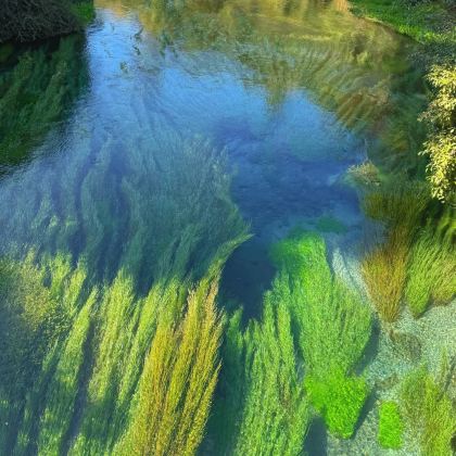 新西兰南岛11日9晚私家团