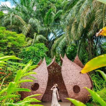 云南昆明+普洱+西双版纳6日5晚跟团游