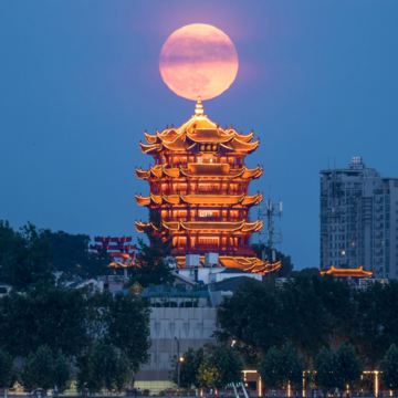 武汉+黄鹤楼+长江三峡+三峡大坝5日4晚跟团游