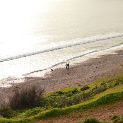 澳大利亚阿德莱德+澎湃粉红湖+南澳美术馆+蓝道购物街+Martindale Hall Coach House+弗林德斯 · 蔡斯国家公园+微风湾+克利福德蜂蜜农场7日5晚私家团