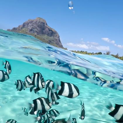 毛里求斯+留尼汪（法属）+塞舌尔15日14晚私家团