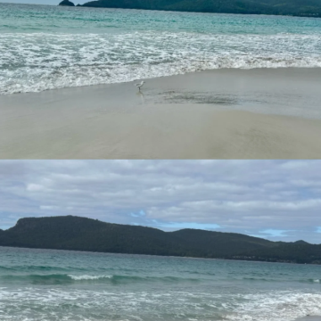 澳大利亚霍巴特+朗塞斯顿7日6晚私家团