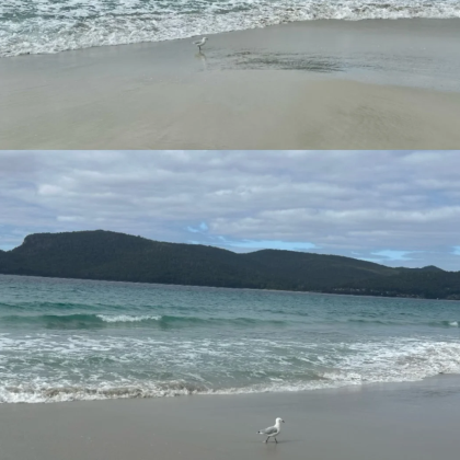 澳大利亚霍巴特+塔斯曼半岛+布鲁尼岛5日4晚私家团