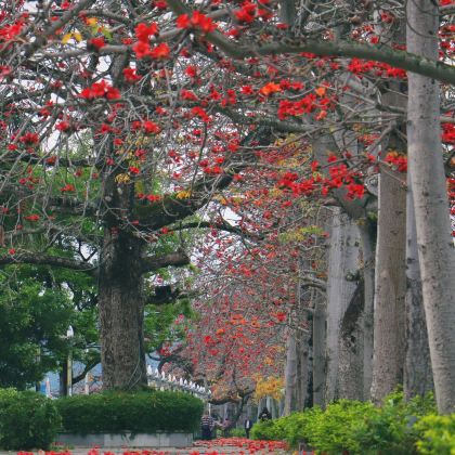 广东汕头+潮州+南澳岛3日2晚私家团