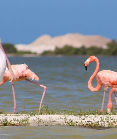 4D3N • Private Yucatan Discovery Tour
