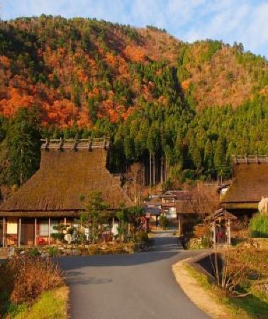 5日4晚 • 大阪+奈良縣+和歌山縣5天團 · 保證入住1晚《國際品牌》南紀白濱Marriott 溫泉酒店、「世界文化遺產」興福寺~中金堂、「賞紅葉名所」美山町~茅屋之里